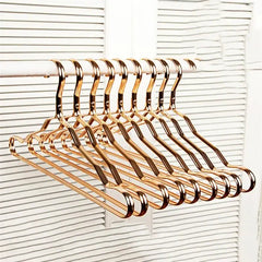 5/10pcs Metallic Clothing Hanger