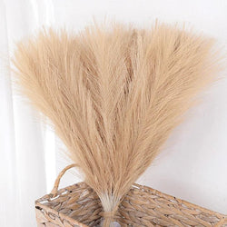 1530Pcs Pampas Grass Bouquet