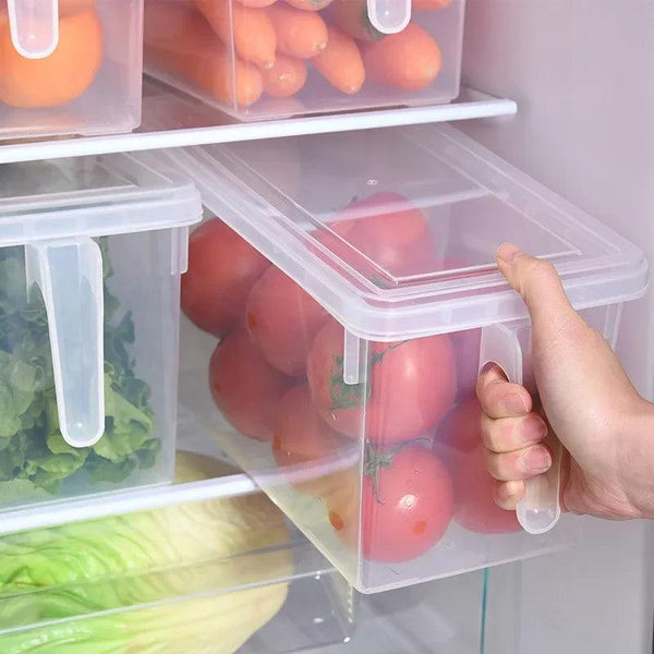 Fridge Transparent Storage Box