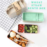 Wheat Straw Lunch Box
